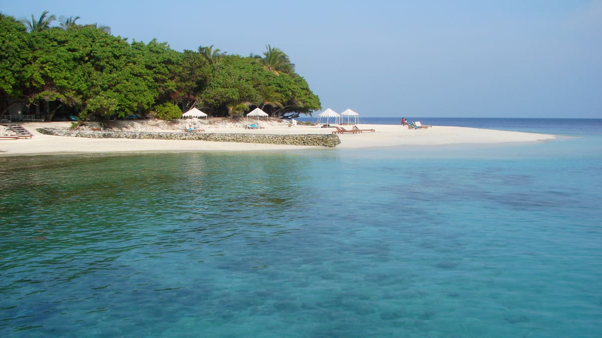 Вся страна: Baa Atoll и Hanifaru Bay