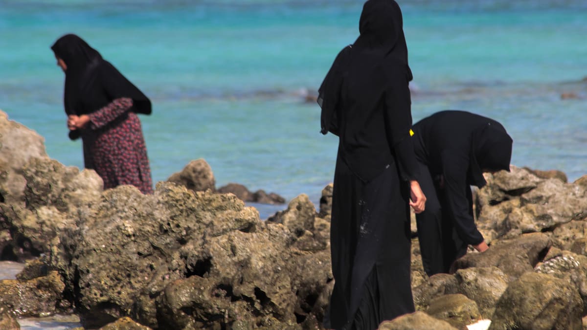 Вся страна: Rasdhoo, Ukulhas, Thoddoo, Dhigurah и Maamigili