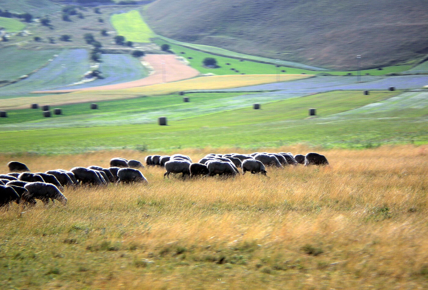 Sibillini Mountains для расширения маршрута Marche