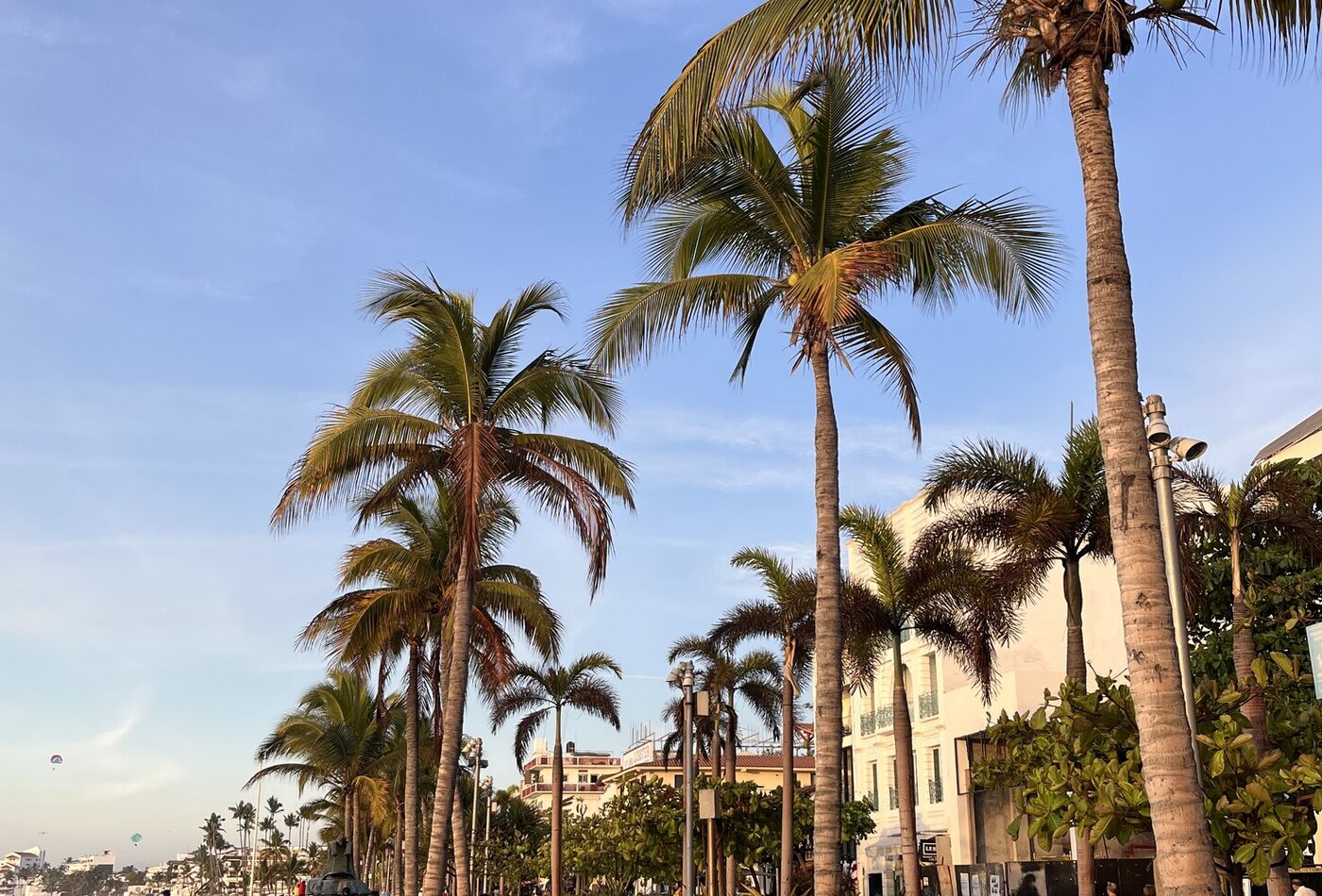 Malecon Puerto Vallarta и прогулочный городской слой