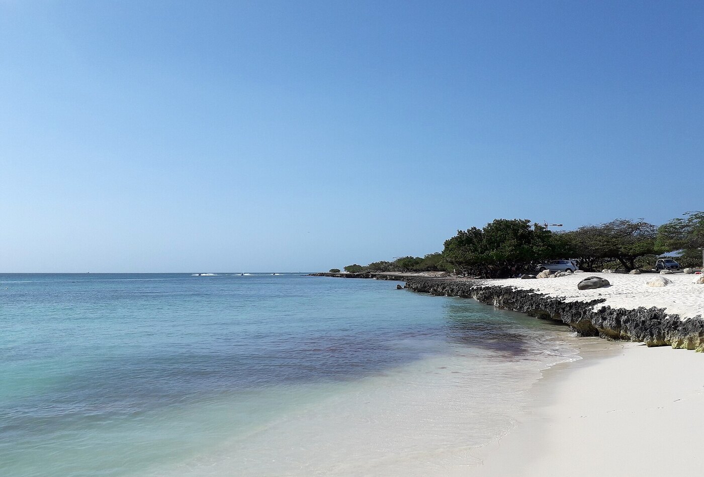 Puerto Rico/ABC Islands season planning