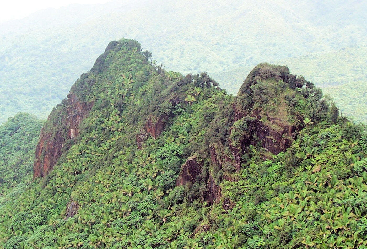 El Yunque Puerto Rico rainforest