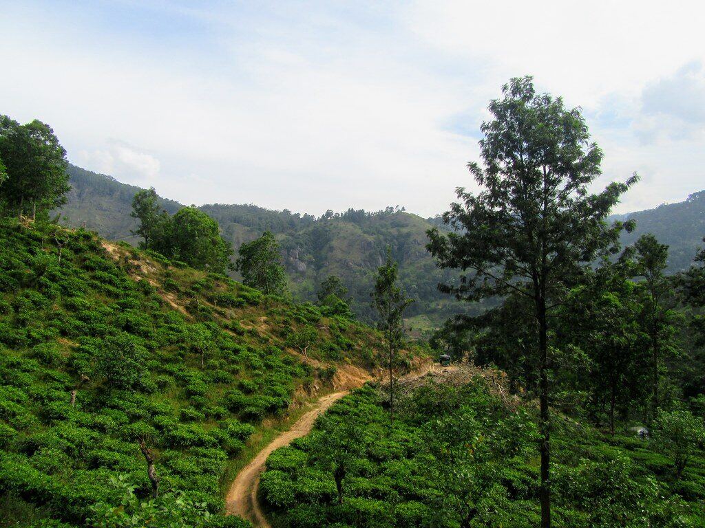 Little Adams Peak, Шри-Ланка