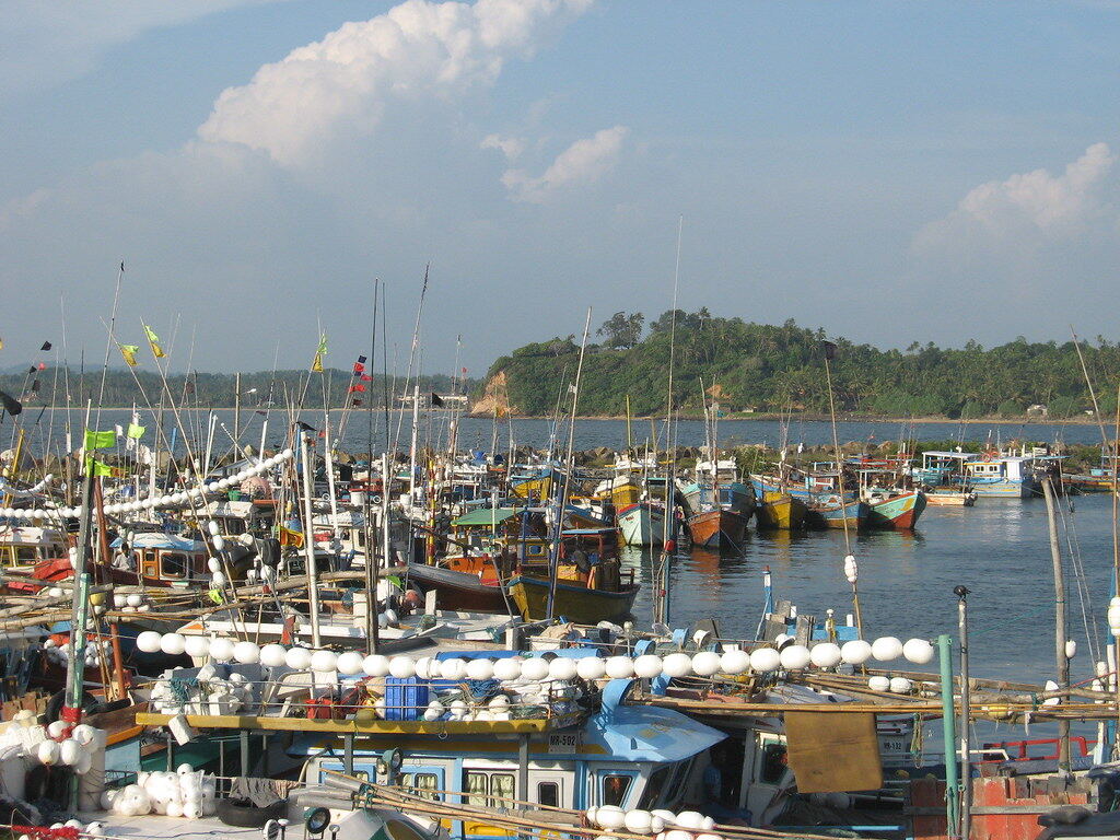 Mirissa Harbour, Шри-Ланка