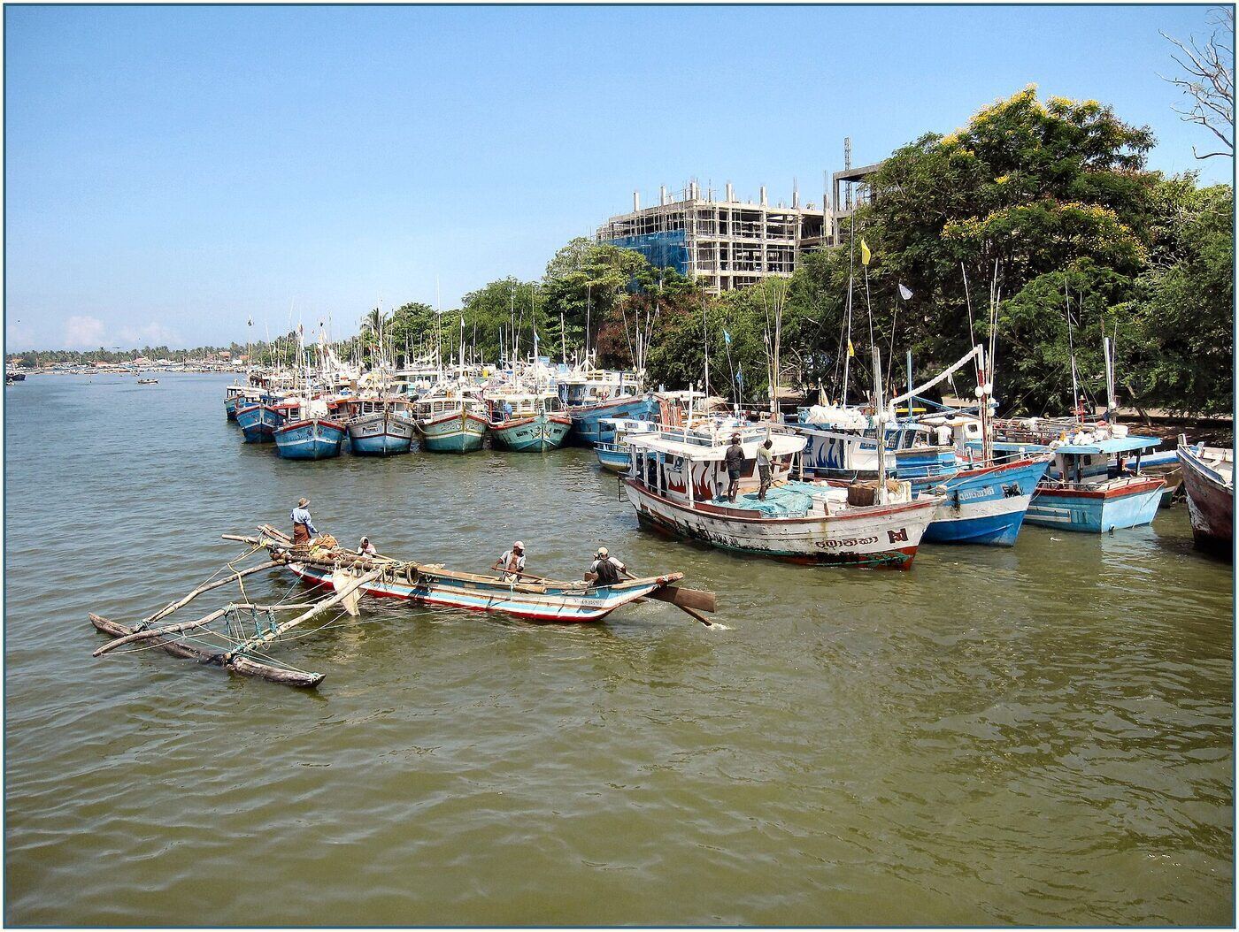Negombo Lagoon, Шри-Ланка
