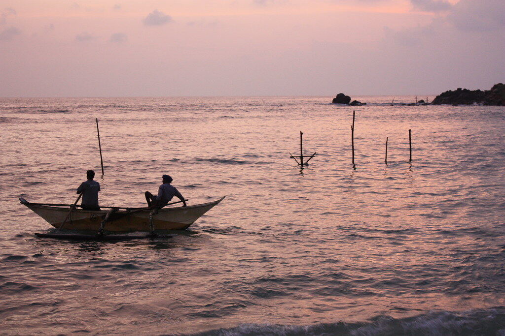 Whale Watching Boat, Шри-Ланка
